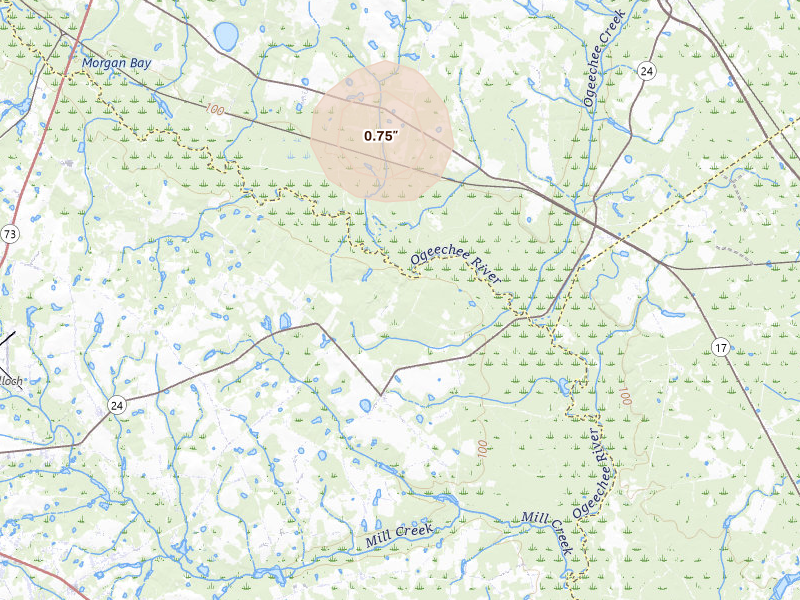 Radar-estimated hail-size map of the storm over Statesboro, GA on Aug 13, 2026