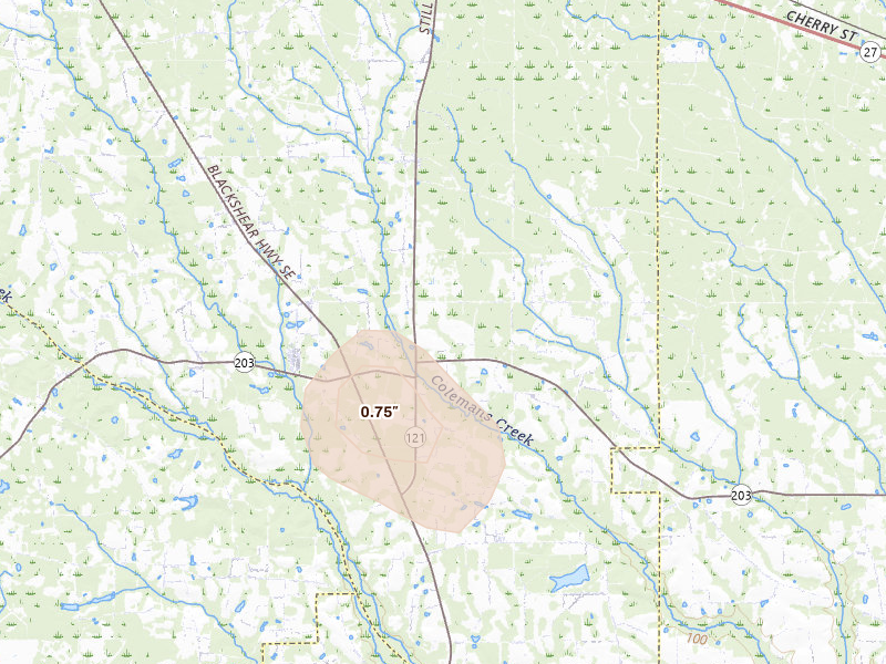 Radar-estimated hail-size map of the storm over Surrency, GA on Aug 12, 2026