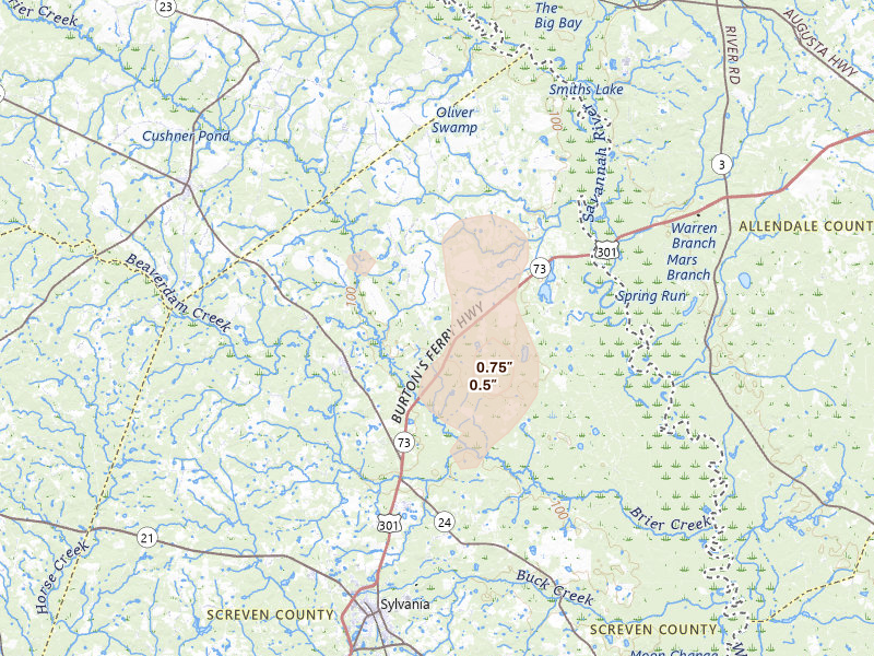 Radar-estimated hail-size map of the storm over Sylvania, GA on Jun 29, 2026