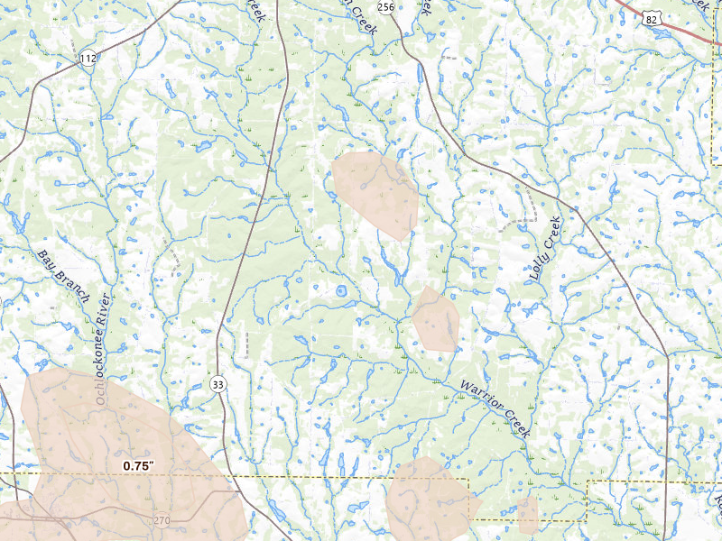 Radar-estimated hail-size map of the storm over Sylvester, GA on Jul 29, 2026