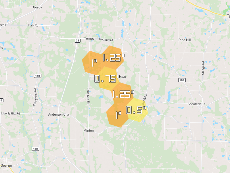 Hail map of Sylvester, GA on Jul 29, 2026, hail up to 1.25"