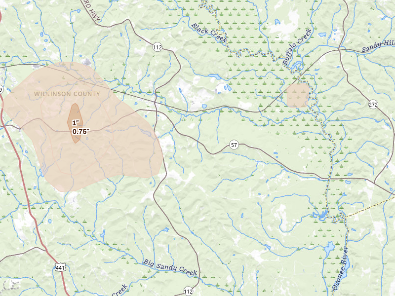 Radar-estimated hail-size map of the storm over Toomsboro, GA on Aug 13, 2026