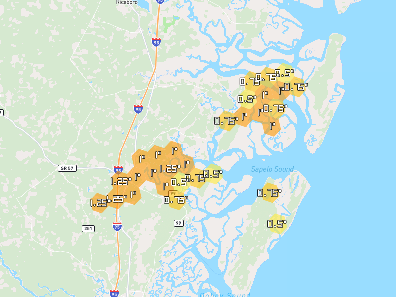 Hail map of Townsend, GA on Jul 7, 2026, hail up to 1.25"