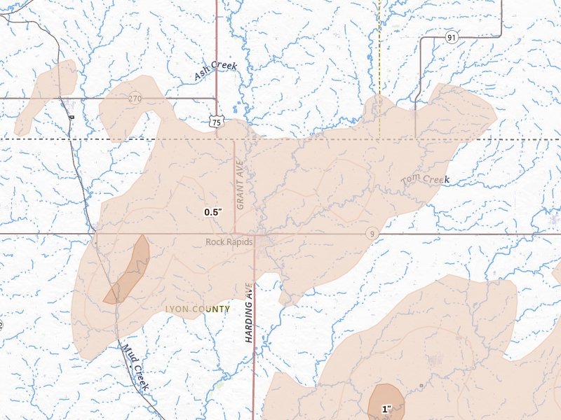 Radar-estimated hail-size map of the storm over Rock Rapids, IA on Jun 29, 2026