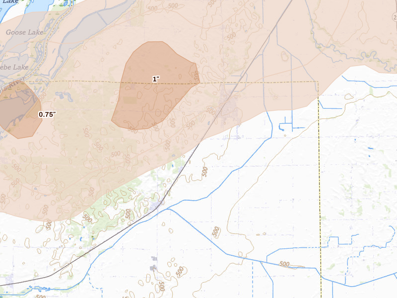 Radar-estimated hail-size map of the storm over Forest City, IL on Mar 10, 2026