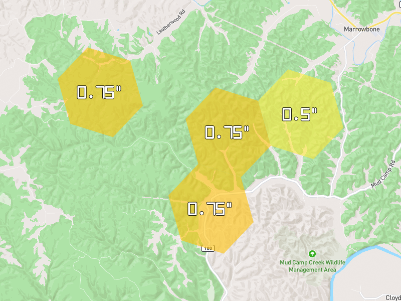 Hail map of Burkesville, KY on Jul 11, 2026, hail up to 0.75"