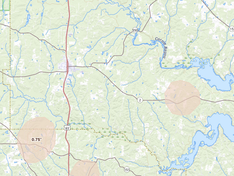Radar-estimated hail-size map of the storm over Bernice, LA
