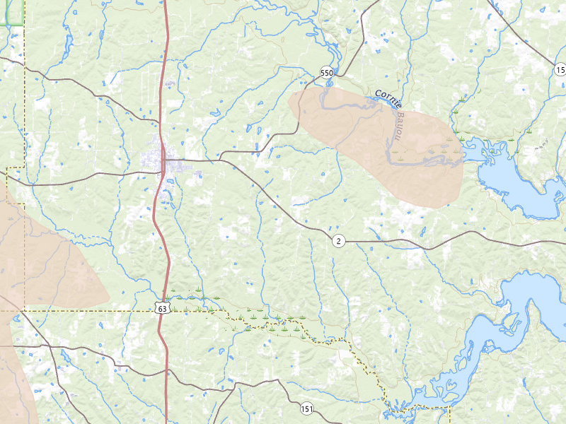 Radar-estimated hail-size map of the storm over Bernice, LA on Jun 22, 2026