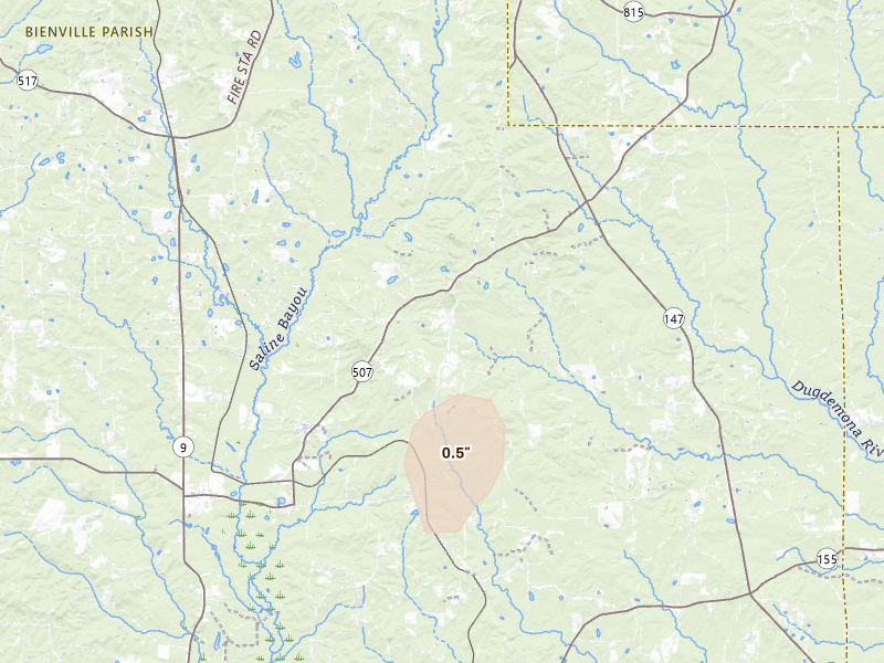 Radar-estimated hail-size map of the storm over Bienville, LA on Jun 1, 2026