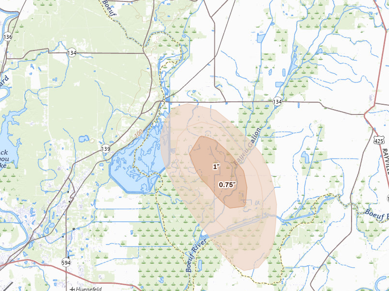 Radar-estimated hail-size map of the storm over Collinston, LA