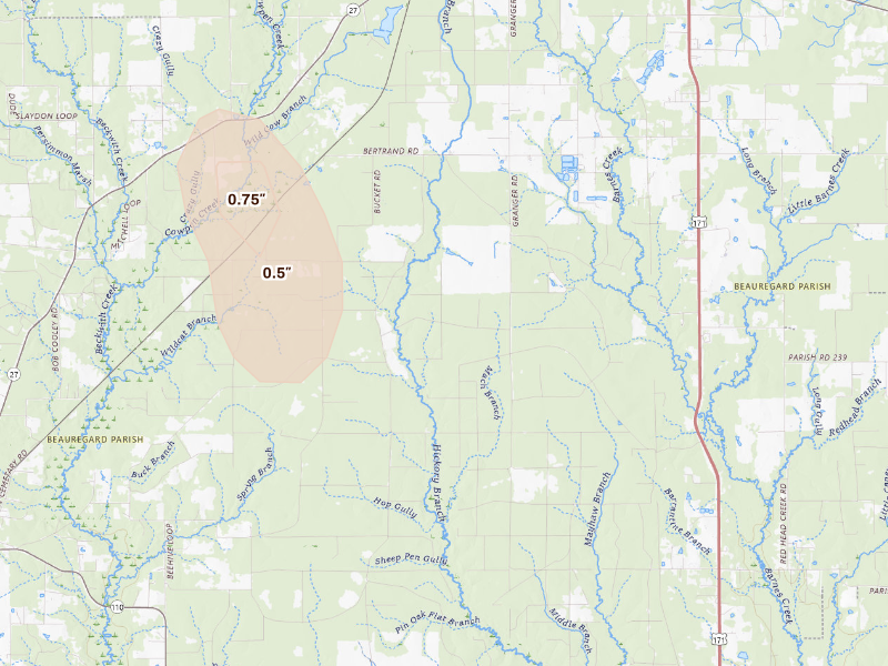 Radar-estimated hail-size map of the storm over Deridder, LA