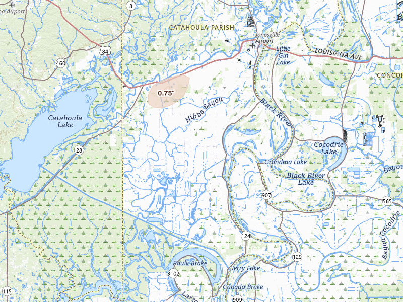 Radar-estimated hail-size map of the storm over Jonesville, LA on Mar 7, 2026