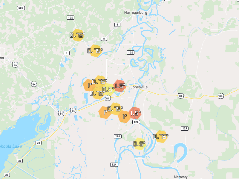 Hail map of Jonesville, LA on Jul 1, 2026, hail up to 1.5"