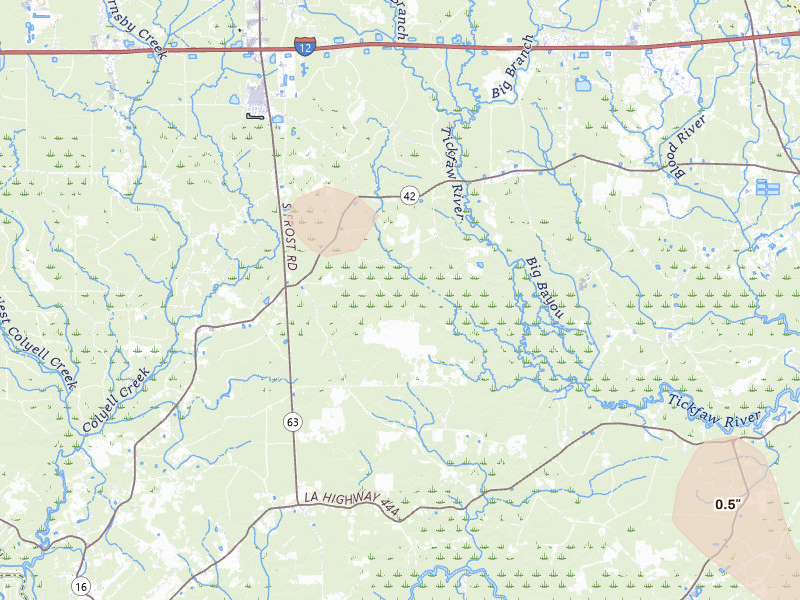 Radar-estimated hail-size map of the storm over Livingston, LA on Aug 21, 2026