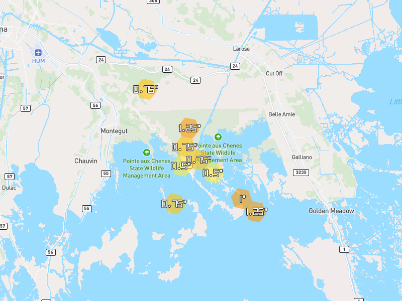 Hail map of Montegut, LA on Jul 1, 2026, hail up to 1.25"