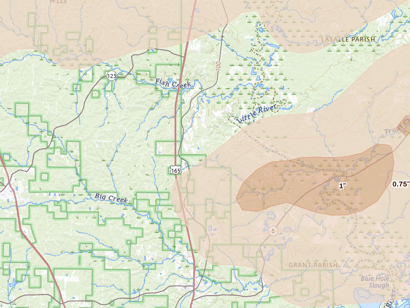 Radar-estimated hail-size map of the storm over Pollock, LA on Mar 15, 2026