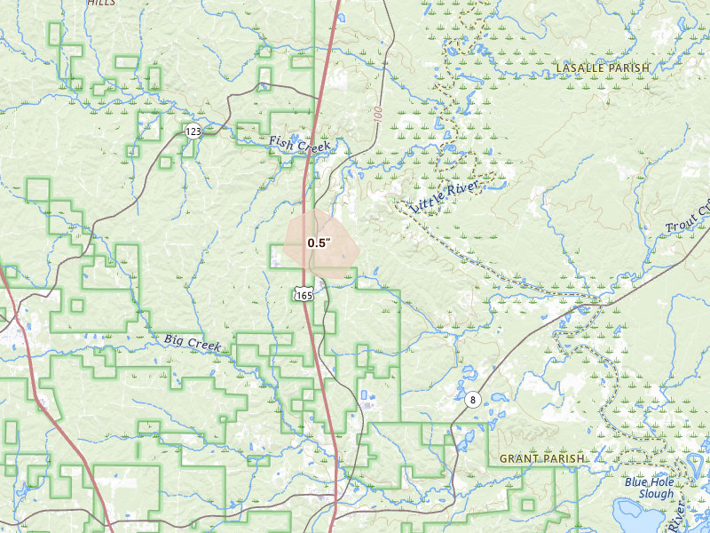 Radar-estimated hail-size map of the storm over Pollock, LA on Jun 2, 2026