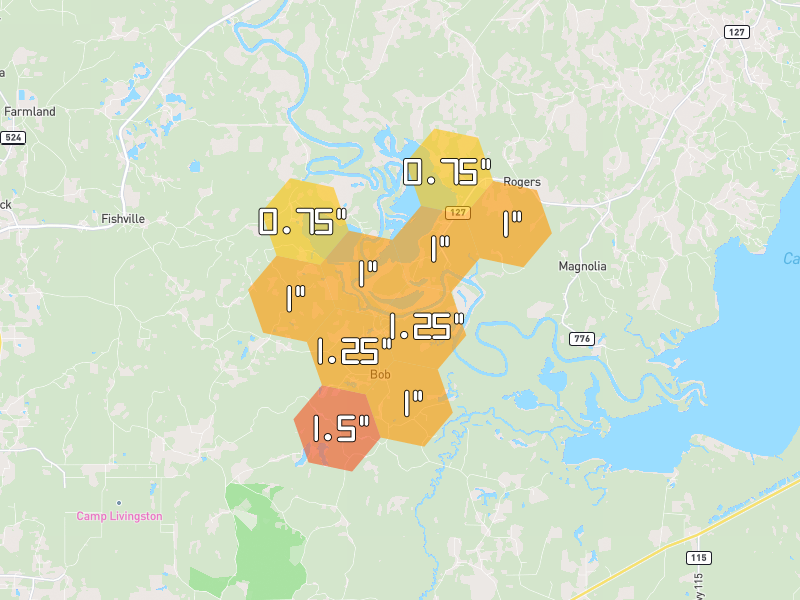 Hail map of Pollock, LA on Jul 1, 2026, hail up to 1.5"