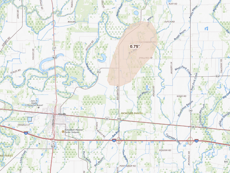 Radar-estimated hail-size map of the storm over Rayville, LA