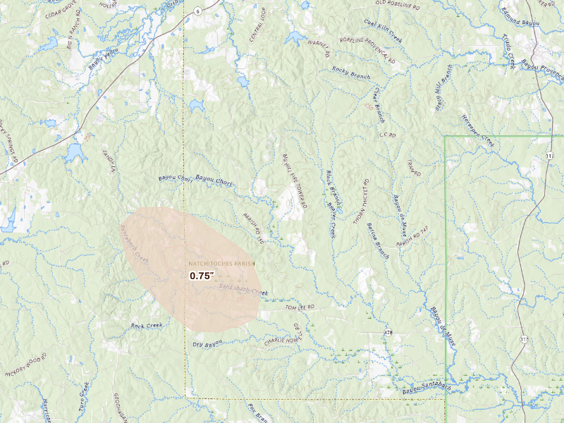 Radar-estimated hail-size map of the storm over Robeline, LA
