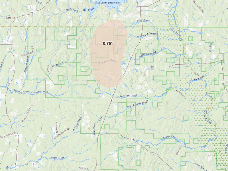 Radar-estimated hail-size map of the storm over Saline, LA
