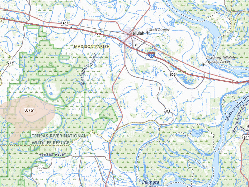 Radar-estimated hail-size map of the storm over Tallulah, LA on Jun 1, 2026