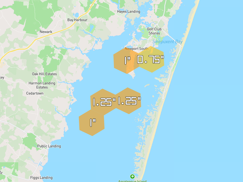 Hail map of Berlin, MD on Jul 6, 2026, hail up to 1.25"