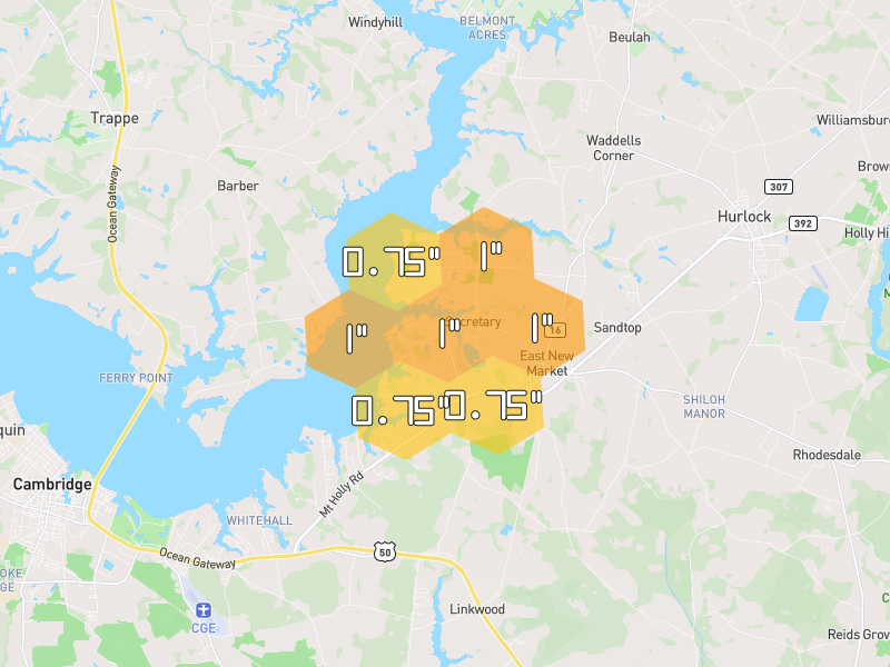 Hail map of East New Market, MD on Jul 6, 2026, hail up to 1"