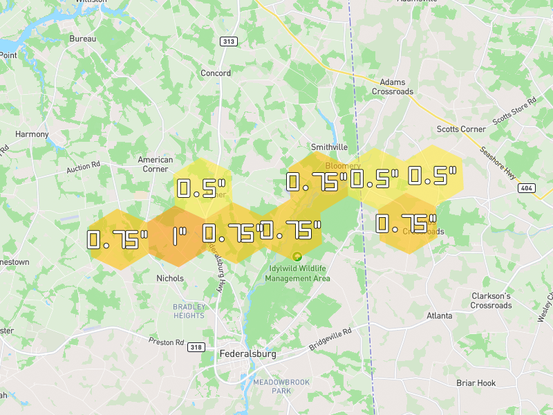 Hail map of Federalsburg, MD on Jul 28, 2026, hail up to 1"