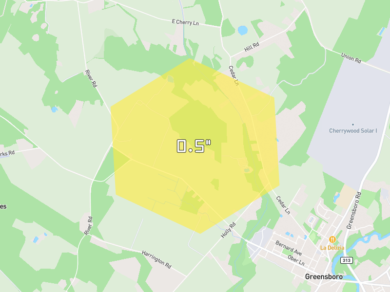 Hail map of Greensboro, MD on Jul 5, 2026, hail up to 0.5"