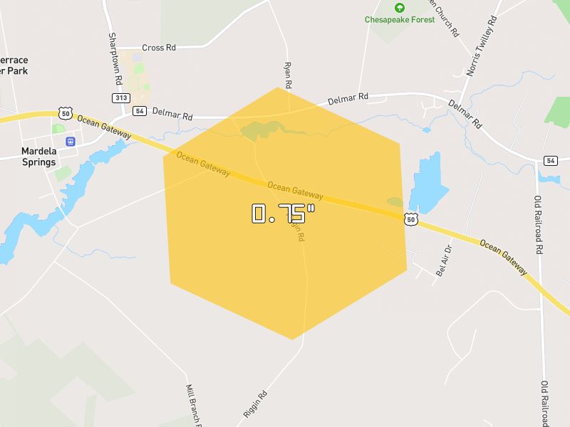 Hail map of Mardela Springs, MD on Jul 6, 2026, hail up to 0.75"