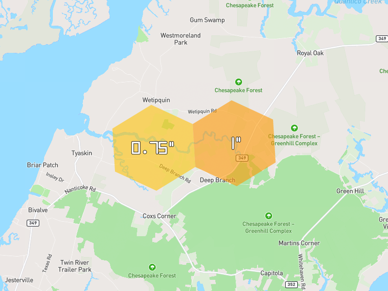 Hail map of Quantico, MD on Jul 10, 2026, hail up to 1"
