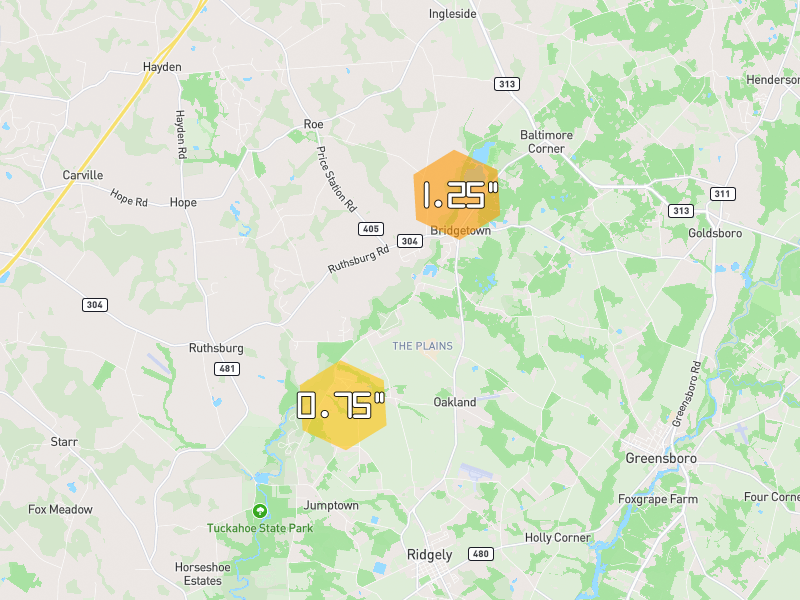 Hail map of Queen Anne, MD on Jul 5, 2026, hail up to 1.25"