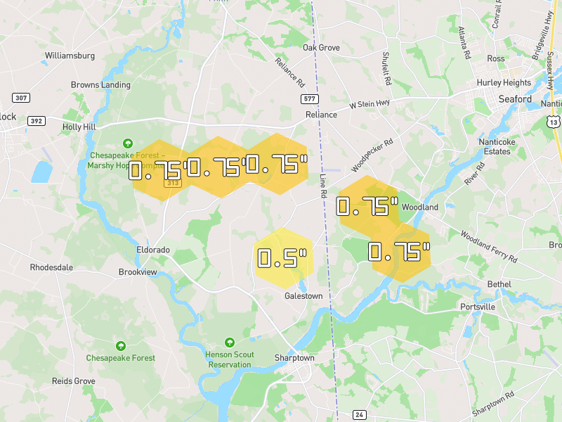 Hail map of Rhodesdale, MD on Jul 28, 2026, hail up to 0.75"