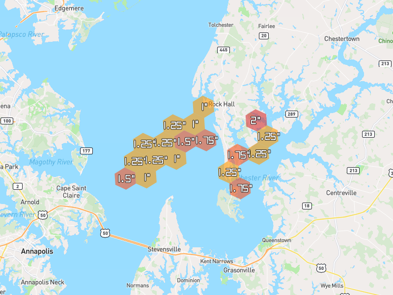 Hail map of Rock Hall, MD on Jul 4, 2026, hail up to 2"