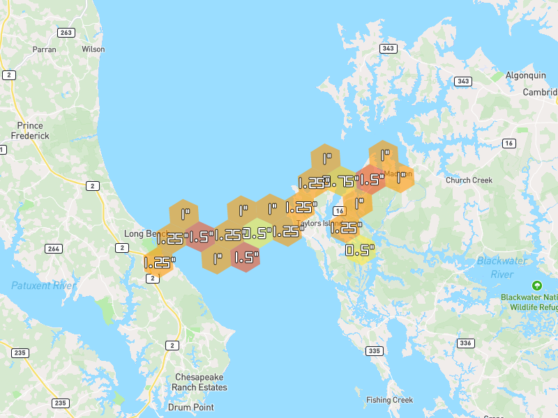 Hail map of Taylors Island, MD on Jul 4, 2026, hail up to 1.5"
