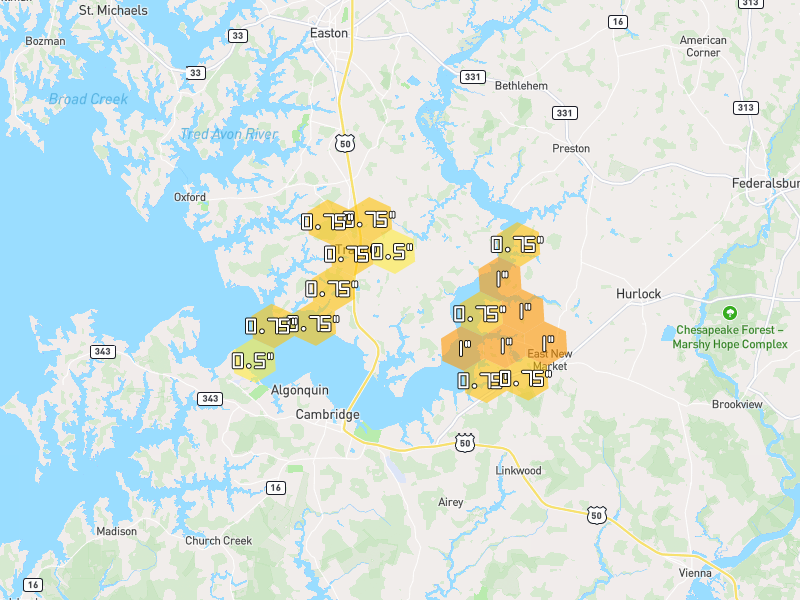Hail map of Trappe, MD on Jul 6, 2026, hail up to 1"