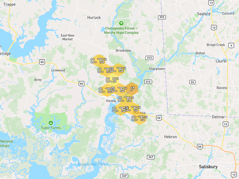 Hail map of Vienna, MD on Jul 6, 2026, hail up to 1"