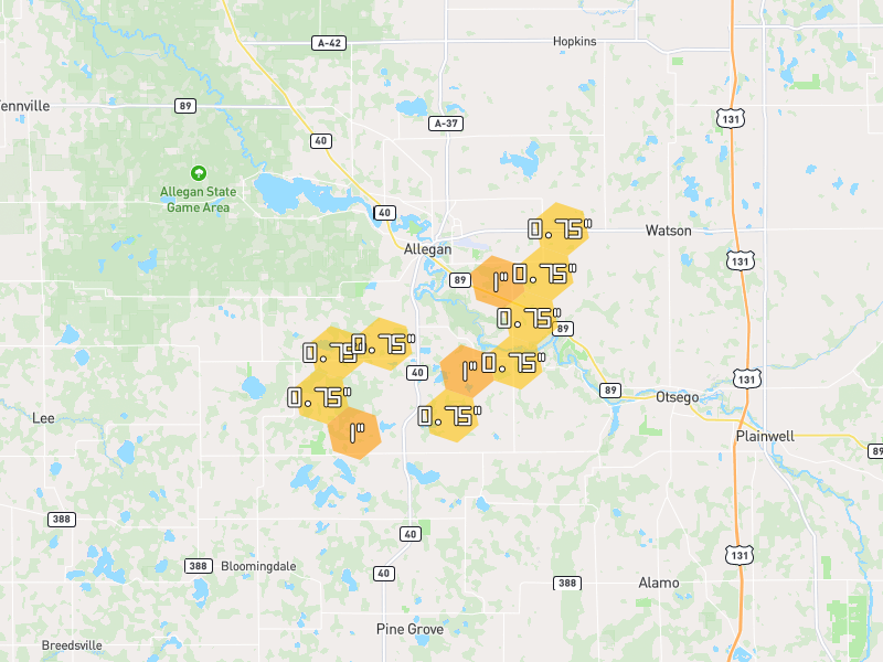 Hail map of Allegan, MI on Jul 3, 2026, hail up to 1"
