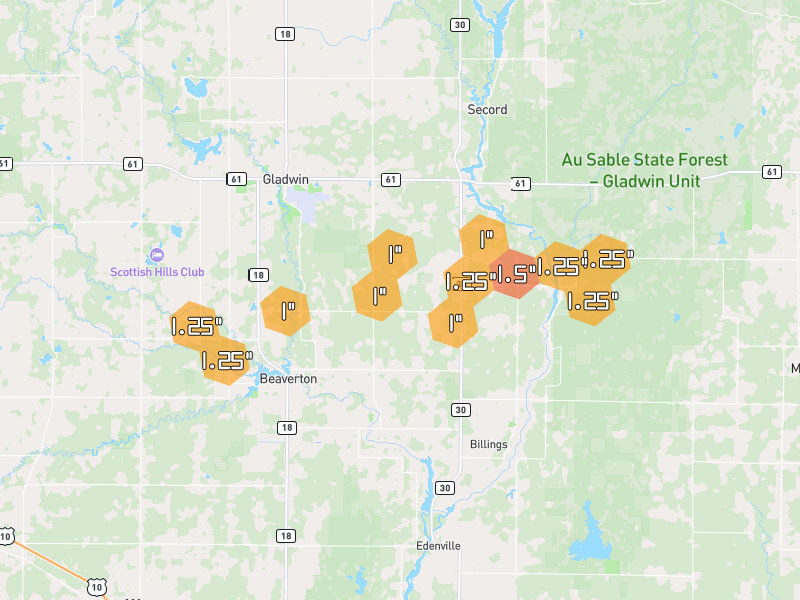 Hail map of Beaverton, MI on Jul 1, 2026, hail up to 1.5"