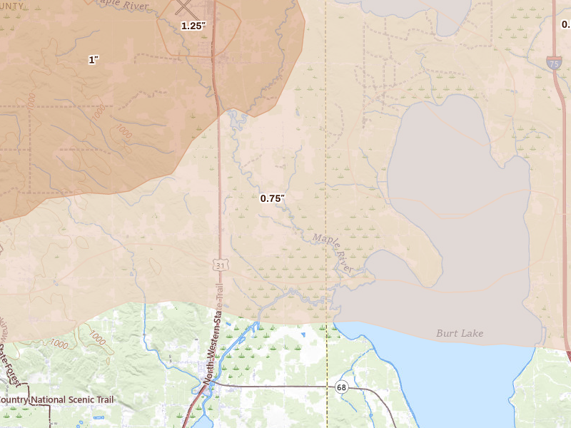 Radar-estimated hail-size map of the storm over Brutus, MI on Jun 29, 2026