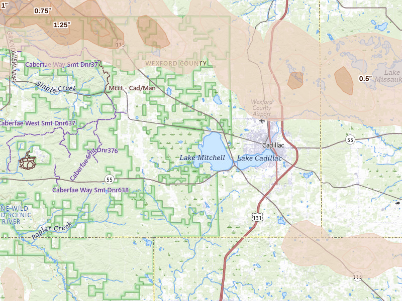 Radar-estimated hail-size map of the storm over Cadillac, MI on Mar 30, 2026