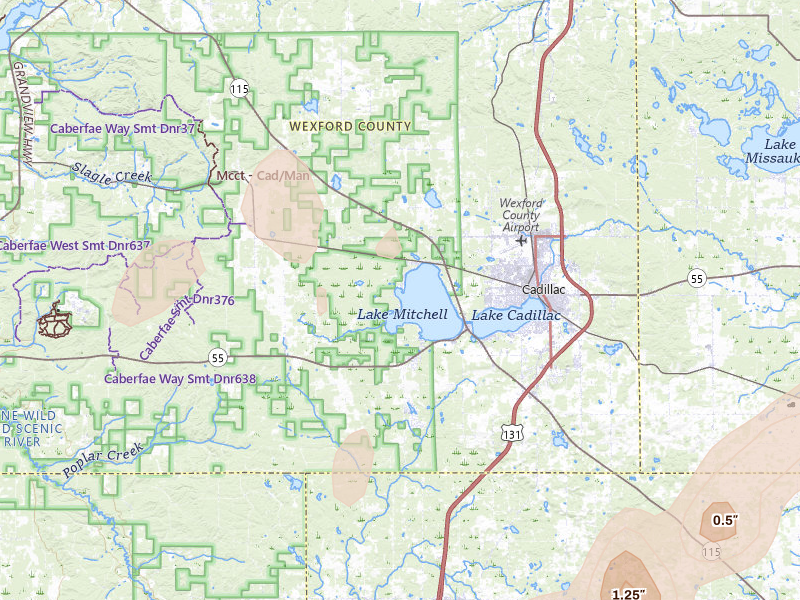 Radar-estimated hail-size map of the storm over Cadillac, MI on Apr 13, 2026