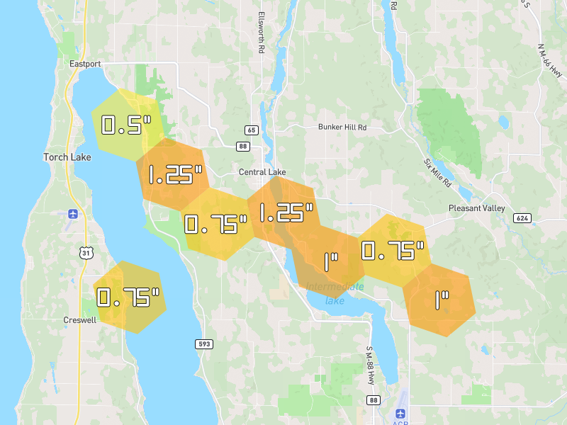 Hail map of Central Lake, MI on Jun 29, 2026, hail up to 1.25"