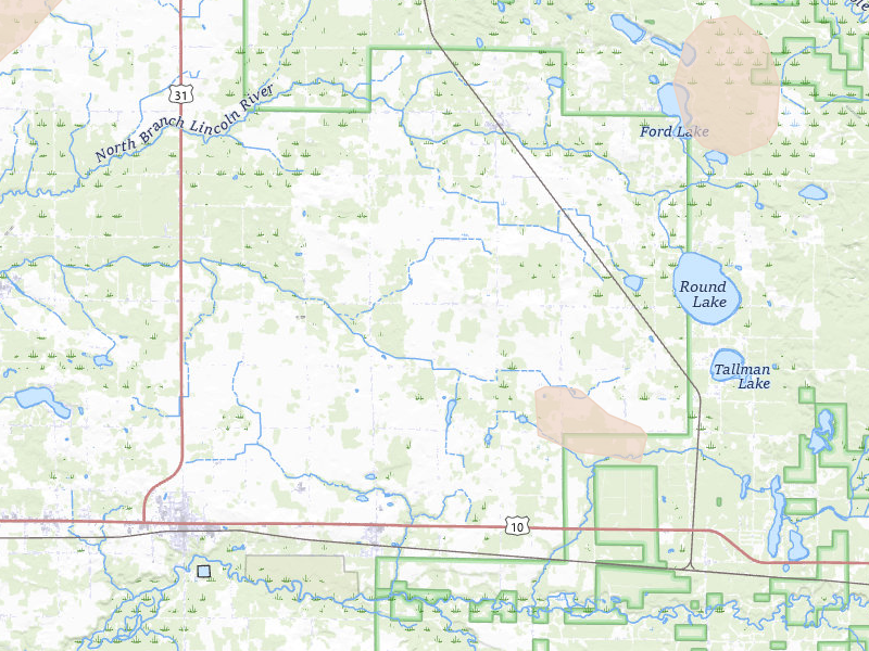 Radar-estimated hail-size map of the storm over Custer, MI