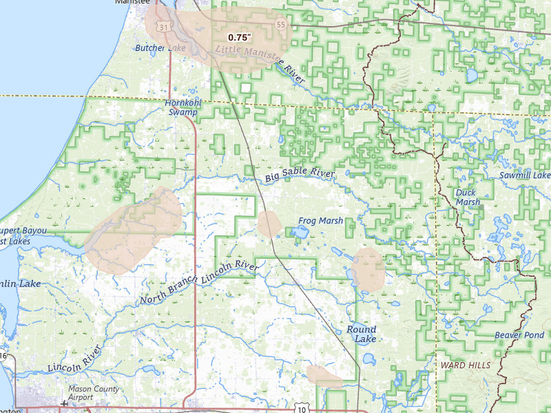 Radar-estimated hail-size map of the storm over Free Soil, MI