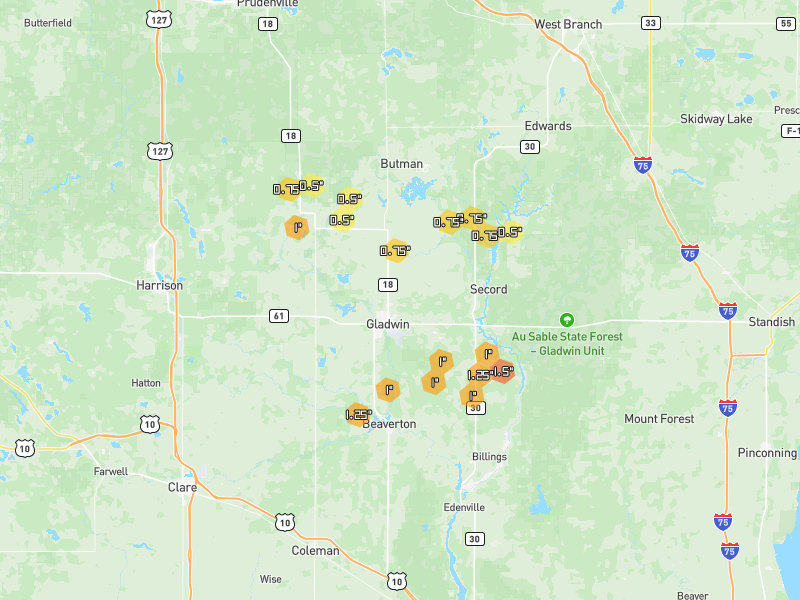 Hail map of Gladwin, MI on Jul 1, 2026, hail up to 1.5"