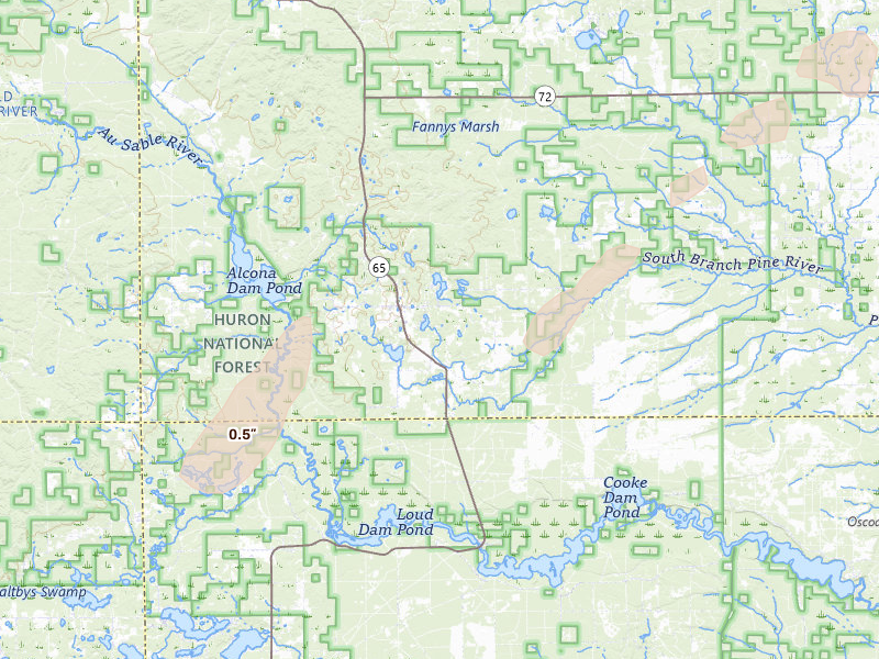 Radar-estimated hail-size map of the storm over Glennie, MI on Jun 16, 2026