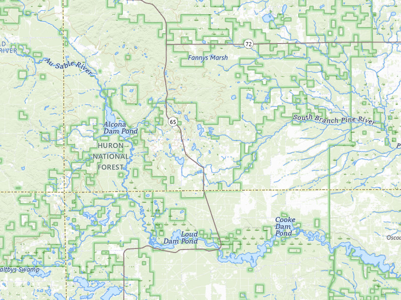 Radar-estimated hail-size map of the storm over Glennie, MI on Jul 1, 2026