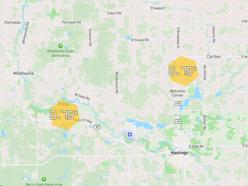 Hail map of Hastings, MI on Jul 3, 2026, hail up to 0.75"